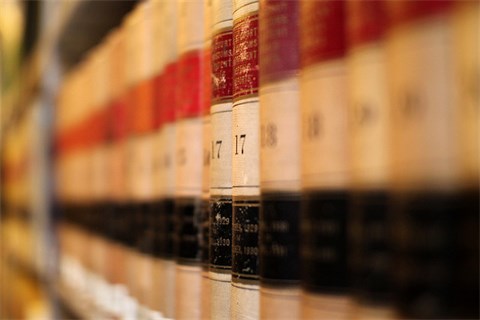 LawBooks-by-Mr.-T-in-DC-480x320.jpg
