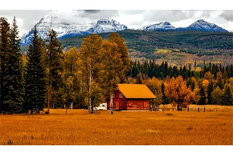 Copyright © autumn-1748644_1280