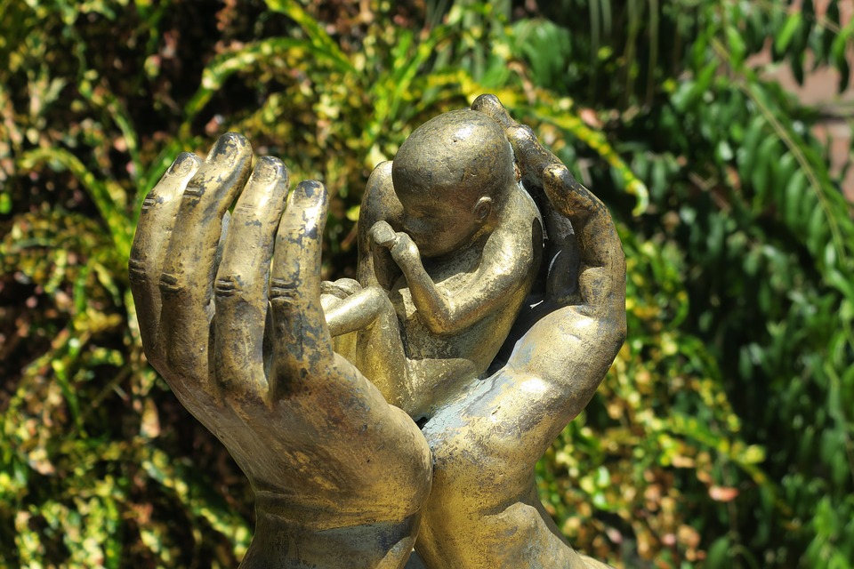 Copyright © Creative Commons Zero - CC0. Max Pixel. https://www.maxpixel.net/Hands-Abortion-Fetus-Hand-Protective-Hand-3533963