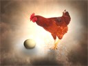 https://pixabay.com/illustrations/what-came-first-the-egg-or-the-hen-6025812/