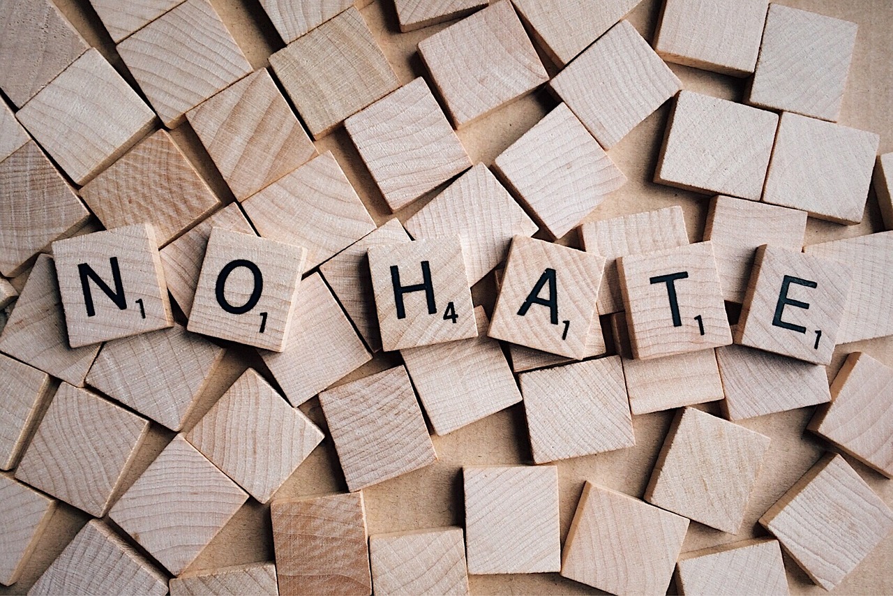 https://pixabay.com/cs/photos/no-hate-slovo-p%C3%ADsmena-hrabat-2019922/