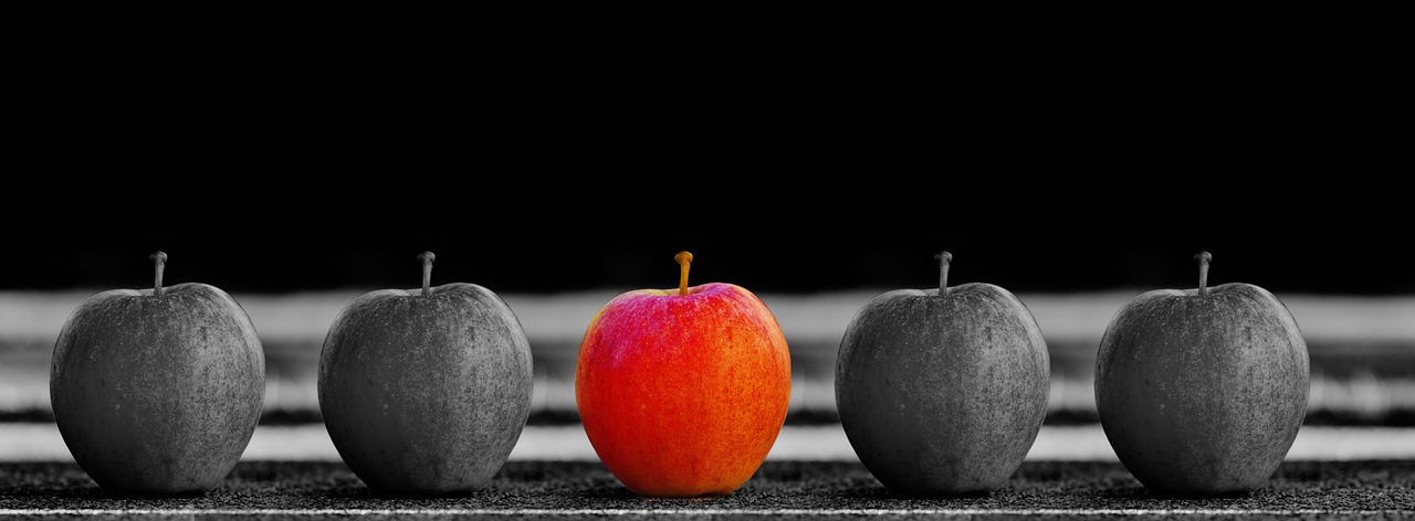 https://pixabay.com/cs/photos/jablko-ovoce-v%C3%BDb%C4%9Br-zvl%C3%A1%C5%A1t%C4%9B-1594742/